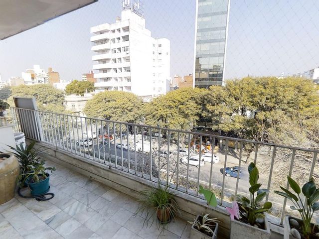 place photo 24