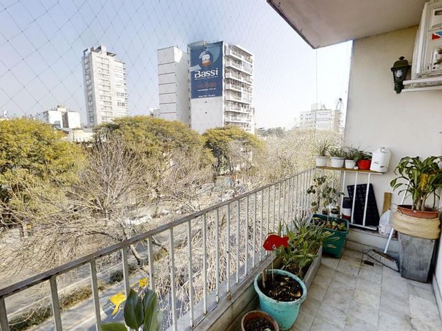 place photo 25