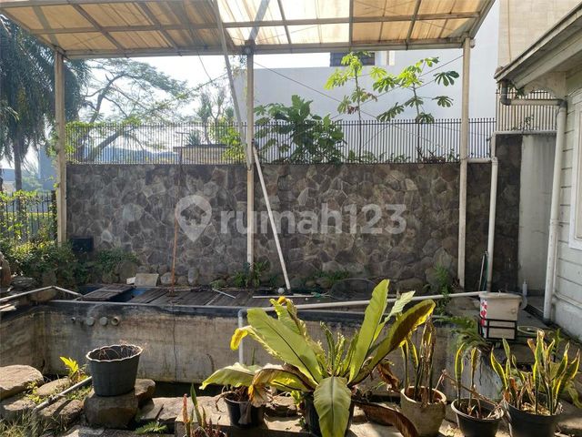 place photo 14