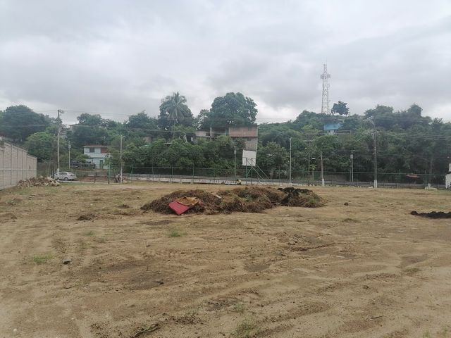 place photo 14