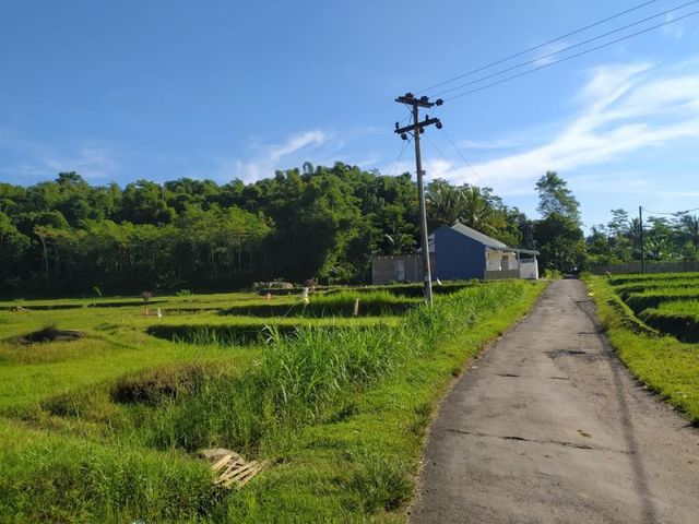 place photo 3