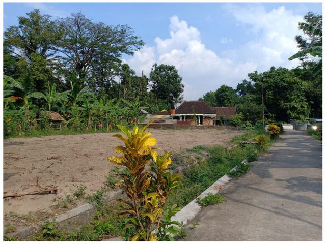 place photo 2