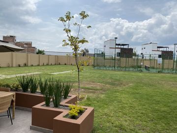 place photo 12