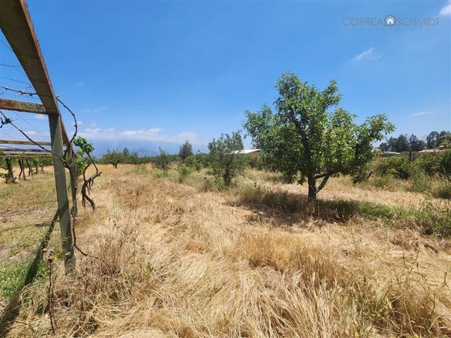 place photo 27