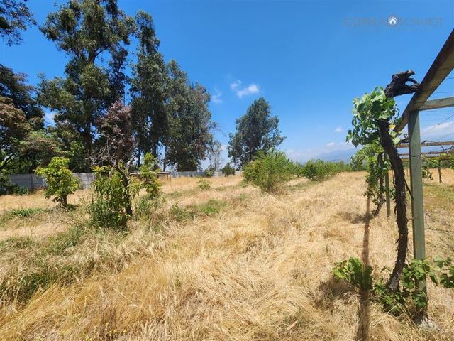 place photo 28