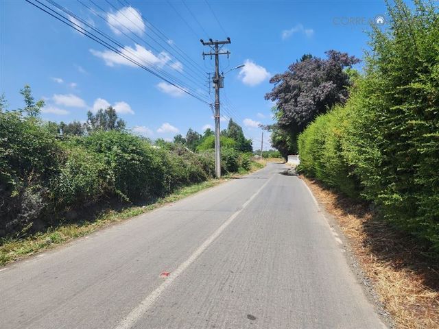 place photo 38