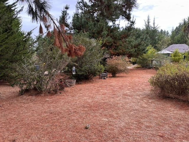 place photo 51