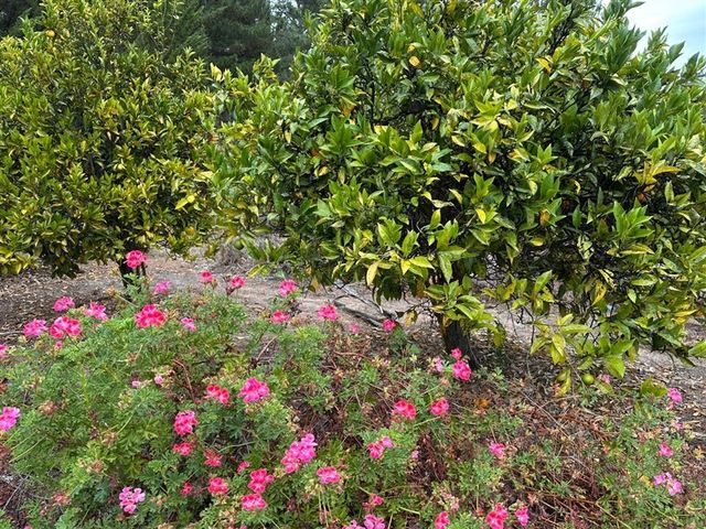 place photo 55