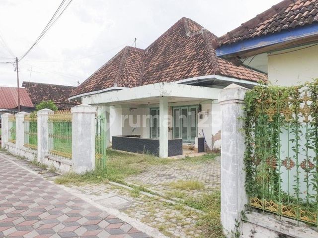 place photo 3
