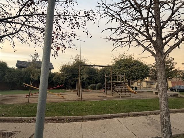 place photo 37