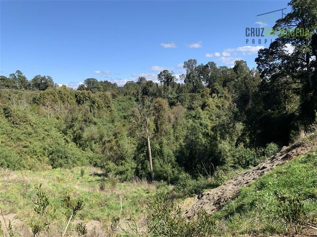 place photo 67