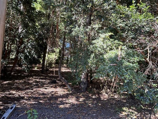 place photo 31