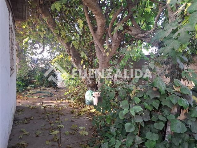 place photo 34