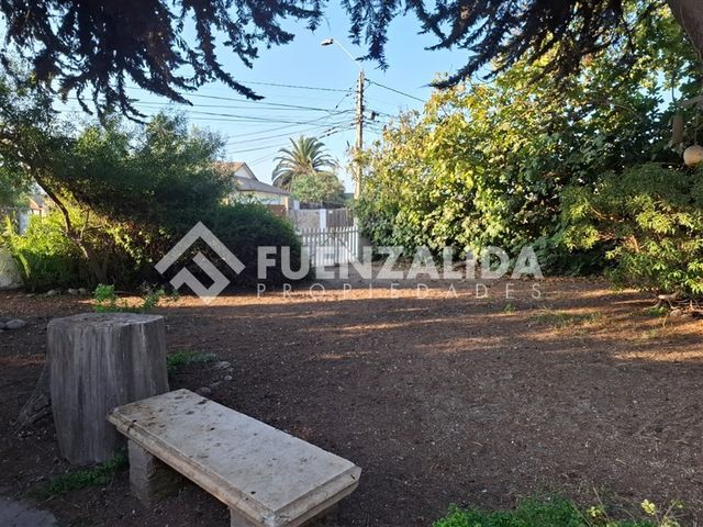 place photo 40