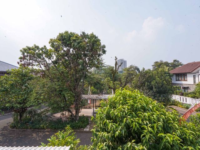 place photo 60