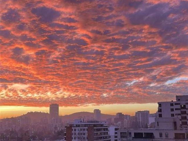 place photo 43