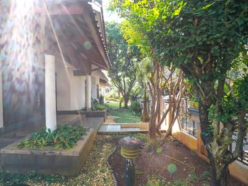 place photo 78