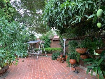 place photo 22