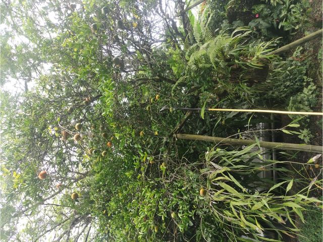 place photo 49