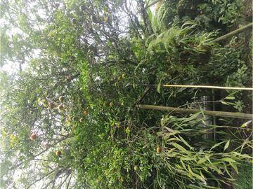 place photo 49