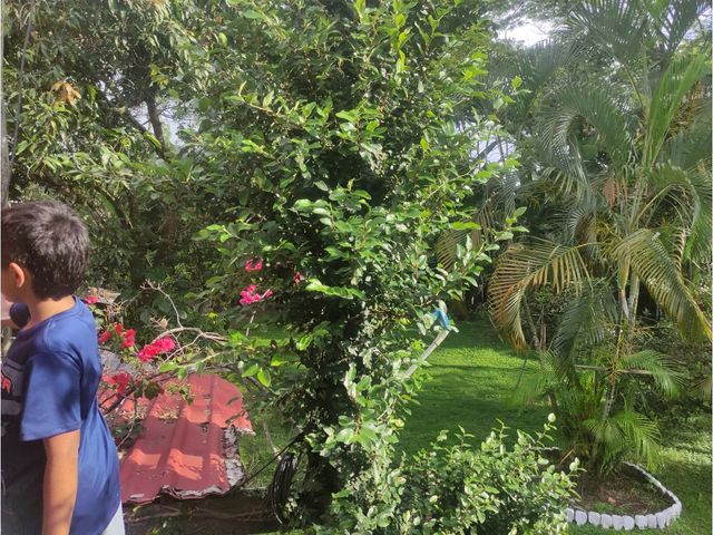 place photo 52