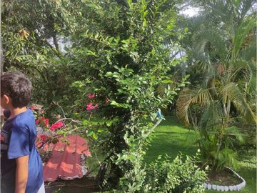 place photo 52