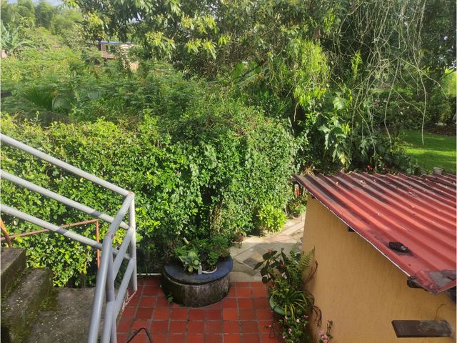 place photo 53