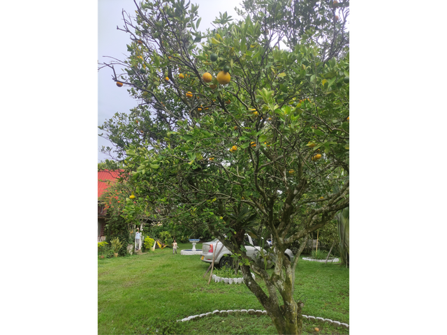 place photo 48