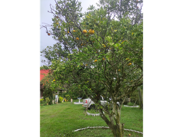 place photo 48