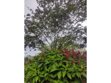 place photo 51