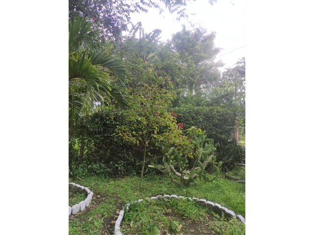 place photo 47