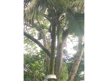 place photo 32