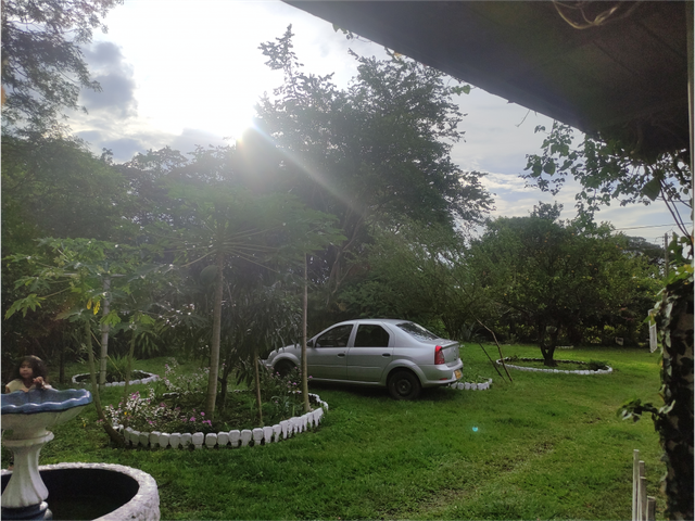 place photo 41