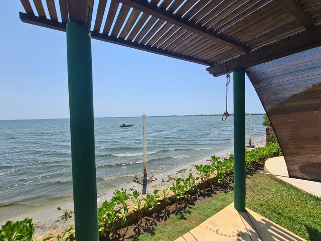 place photo 21