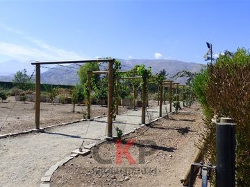 place photo 29