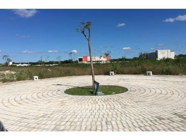 place photo 27