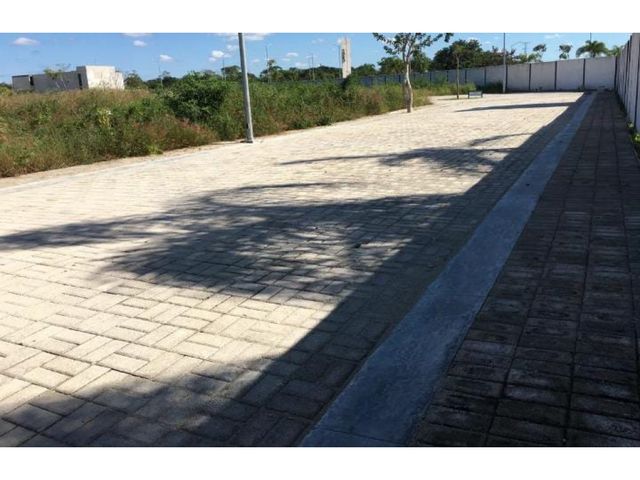 place photo 15