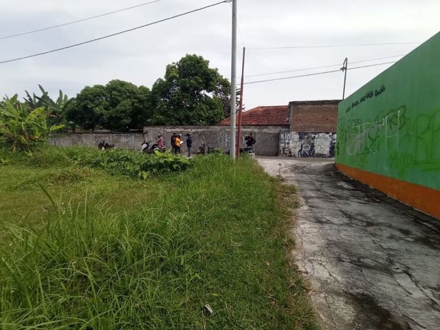 place photo 4