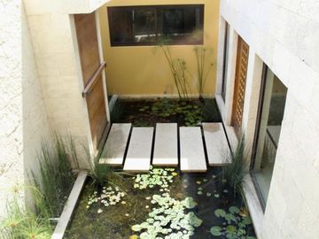 place photo 38