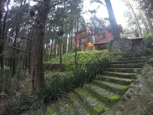 place photo 30
