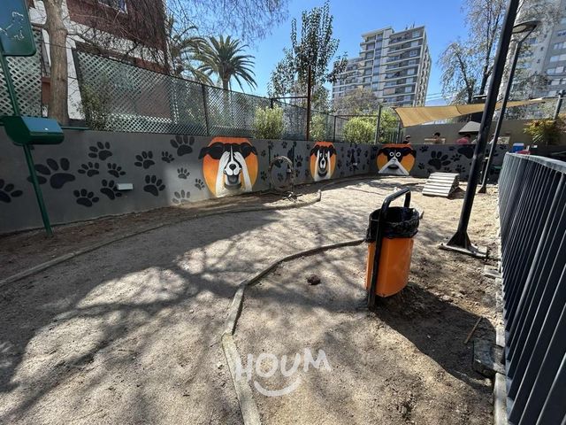 place photo 58