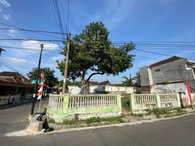 place photo 2