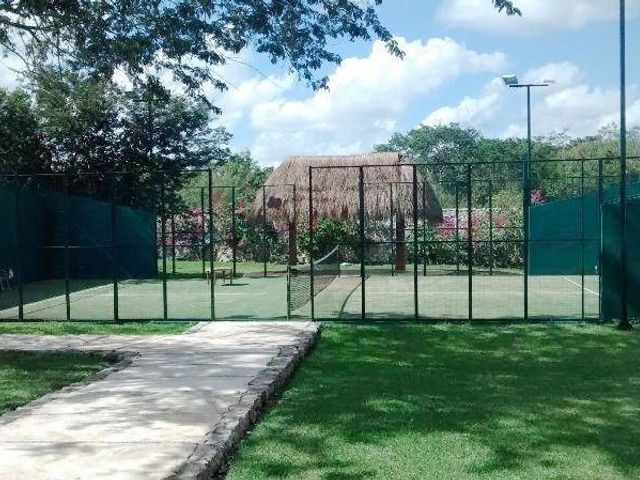 place photo 12