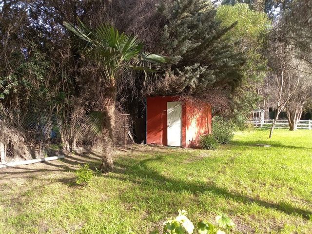 place photo 34