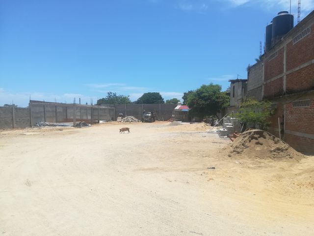 place photo 10