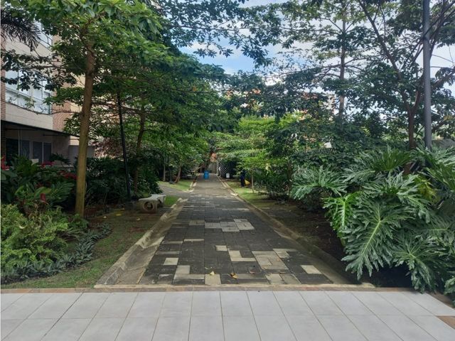 place photo 33