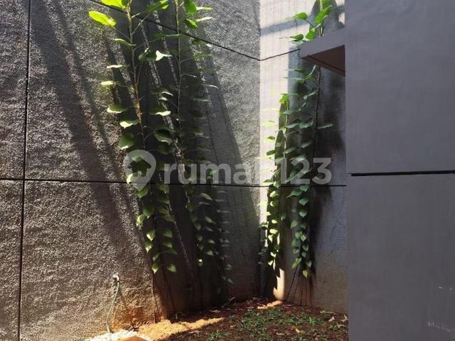 place photo 36