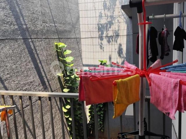place photo 37