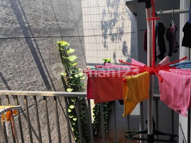 place photo 18