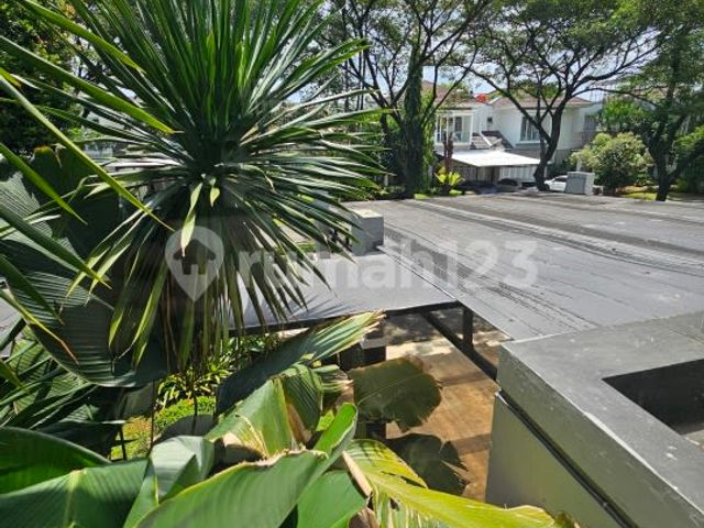 place photo 28